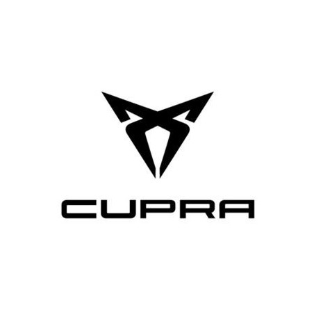 Chip tūnings Cupra Ibiza 2.0 TSI 200hp