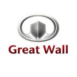 Chip tūnings GWM C50 1.5 Turbo 126hp