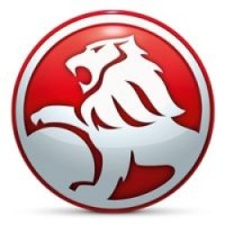 Chip tūnings Holden Commodore 6.0 V8 354hp