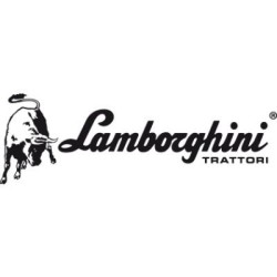 Чип тюнинг для Lamborghini Tractors R6. 140S 7.1 - 136hp