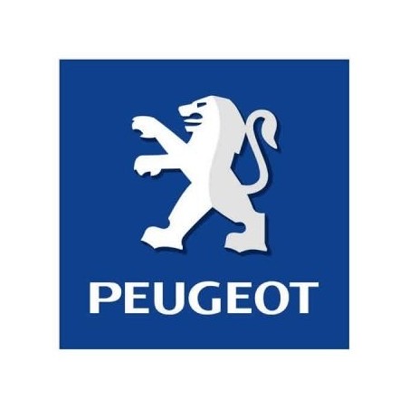 Chip tūnings Peugeot 1007 1.6i 16v 110hp